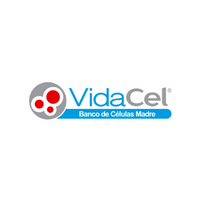 20240718-vidacel